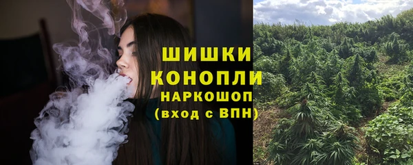 сатива Лагань