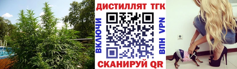 магазин продажи наркотиков  Новодвинск  ТГК Wax 