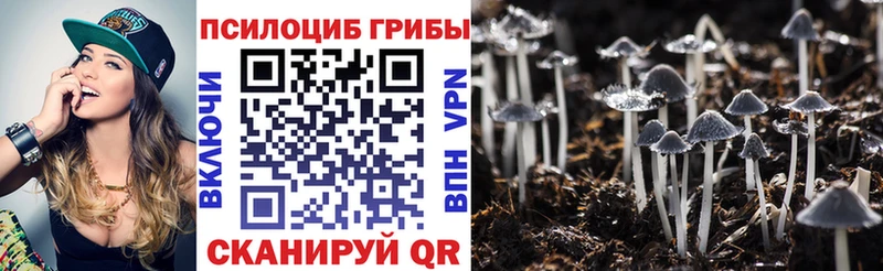 Галлюциногенные грибы GOLDEN TEACHER  маркетплейс официальный сайт  Новодвинск  где купить  