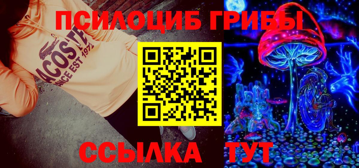 Новодвинск  Псилоцибиновые грибы GOLDEN TEACHER  Вход с VPN 