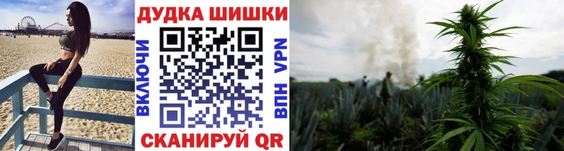 продажа наркотиков  Новодвинск  Каннабис VHQ 